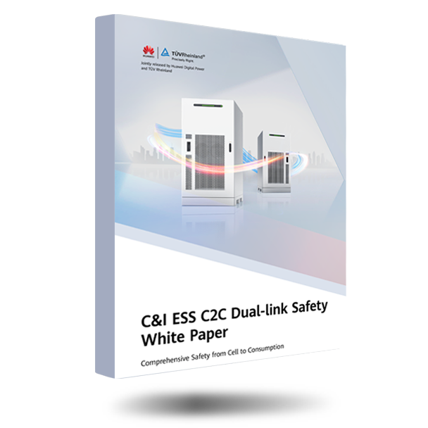 C&I ESS C2C Dual-link Safety White Paper