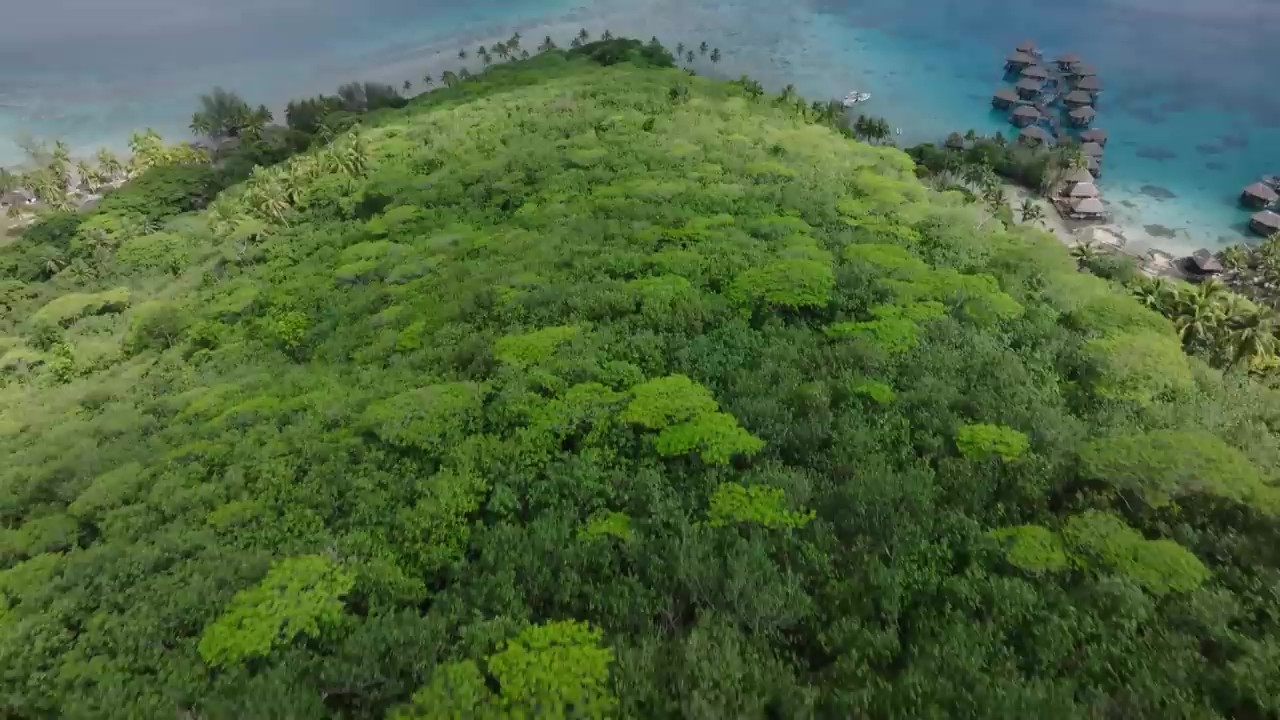 Top 5 Videos of the Year