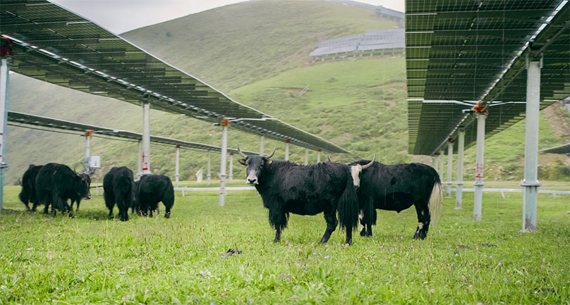 Light Up the Land Where Solar and Hydro Meet at the World's Largest Hydro-Solar Hybrid Power Plant
